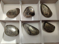 Polished Rare Pharaoh Stone Pyrite in Basalt Palm Stones x 6 Iron Duke Mine, Zimbabwe