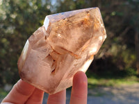 Polished Rainbow Veil Limonite Quartz and Stepped Smokey Window Quartz Crystals x 2 From Madagascar - Toprock Gemstones and Minerals 