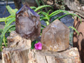 Polished Rainbow Veil Limonite Quartz and Stepped Smokey Window Quartz Crystals x 2 From Madagascar - Toprock Gemstones and Minerals 