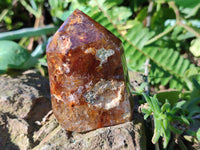 Polished Mixed Inclusion Quartz Crystals Including Golden Rutile x 6 from Madagascar