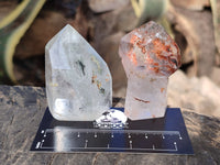 Polished Mixed Inclusion Quartz Crystals Including Golden Rutile x 6 from Madagascar
