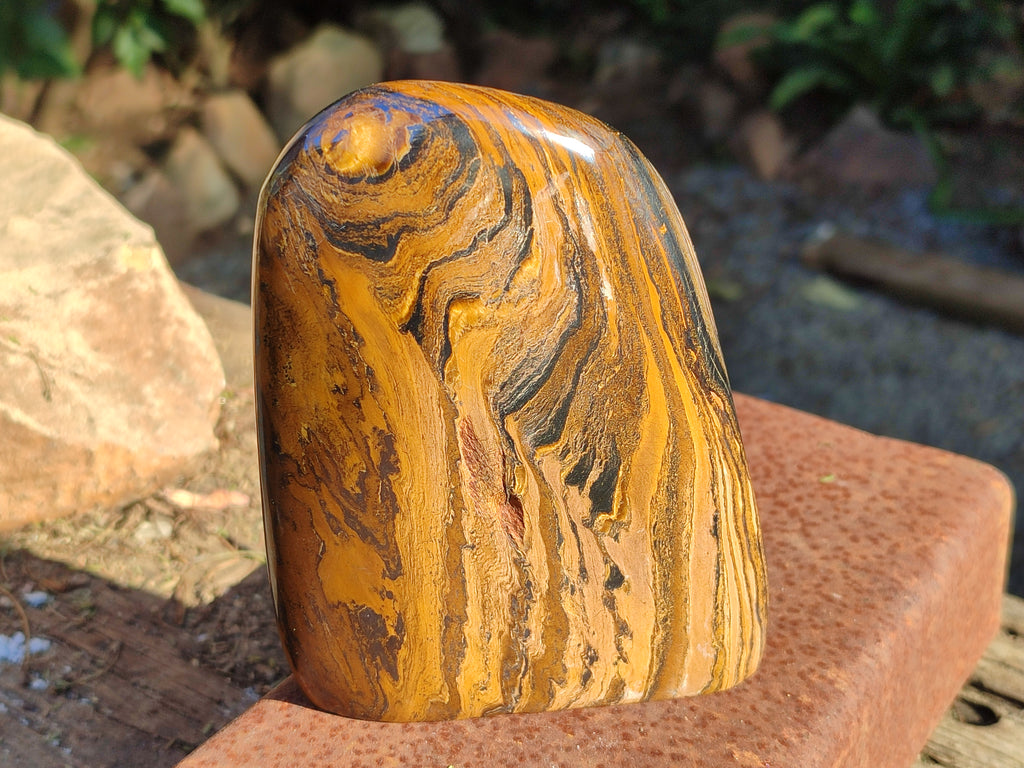 Polished Golden River Tigers Eye Standing Free Forms x 2 From Prieska, South Africa - Toprock Gemstones and Minerals 