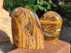 Polished Golden River Tigers Eye Standing Free Forms x 2 From Prieska, South Africa - Toprock Gemstones and Minerals 