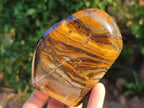 Polished Golden River Tigers Eye Standing Free Forms x 2 From Prieska, South Africa - Toprock Gemstones and Minerals 