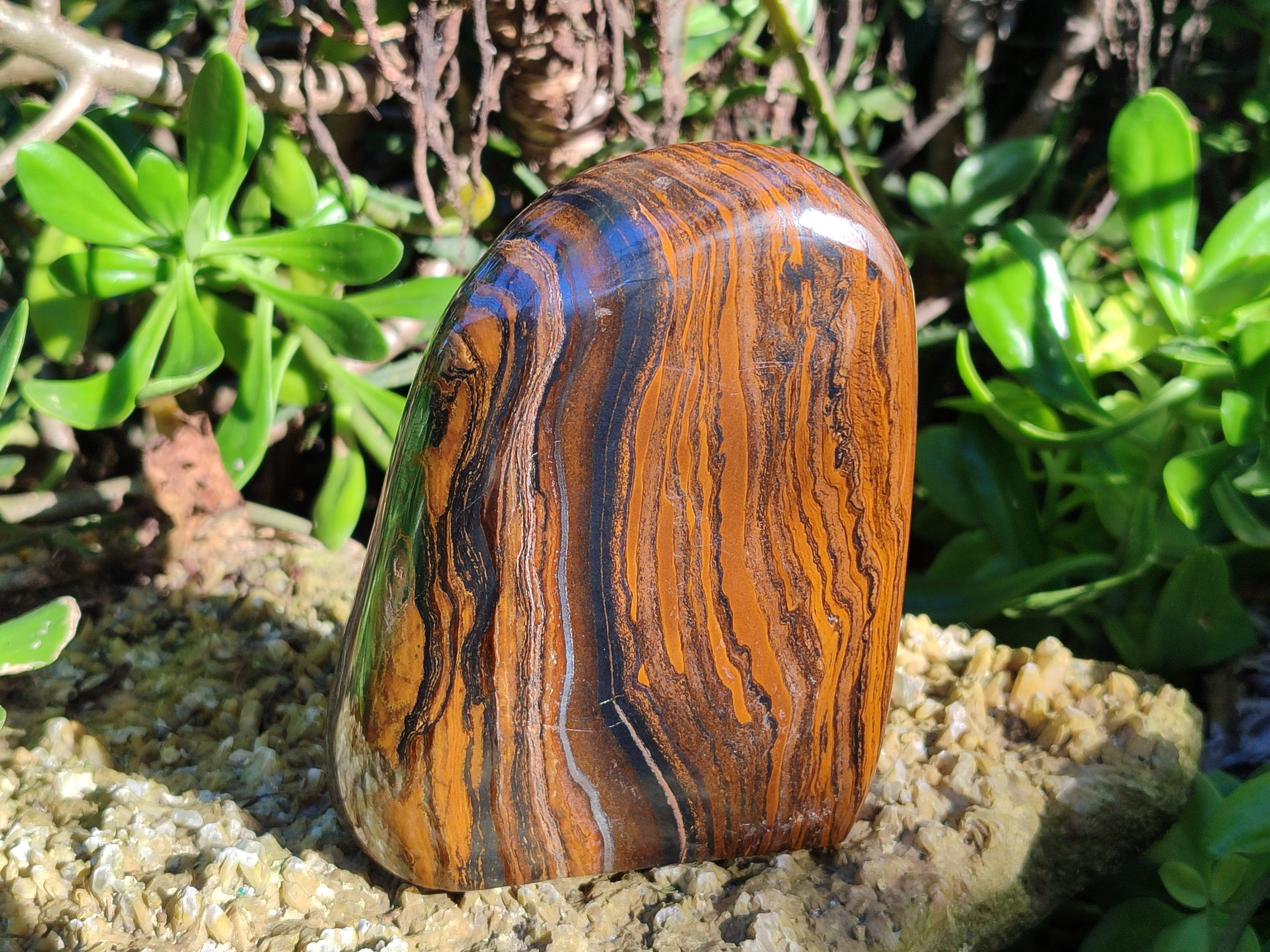 Polished Golden River Tigers Eye Standing Free Forms x 2 From Prieska, South Africa - Toprock Gemstones and Minerals 