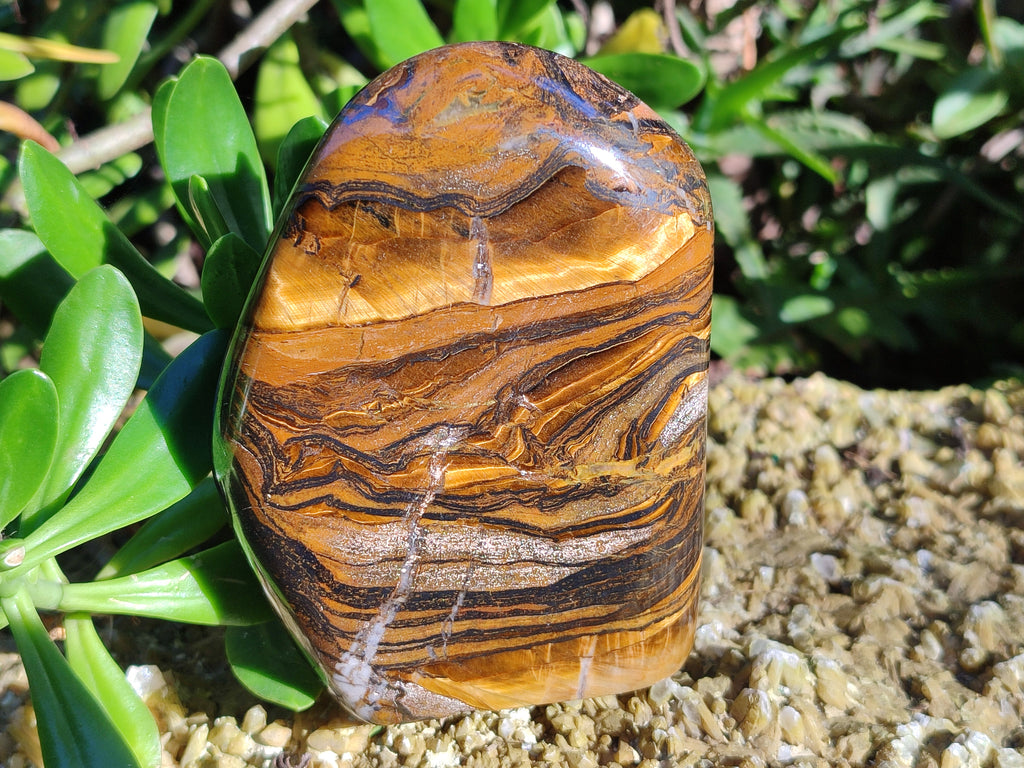 Polished Golden River Tigers Eye Standing Free Forms x 2 From Prieska, South Africa - Toprock Gemstones and Minerals 