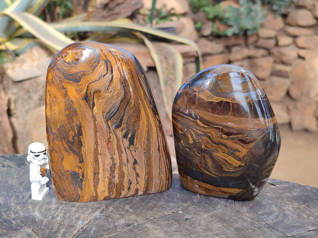 Polished Golden River Tigers Eye Standing Free Forms x 2 From Prieska, South Africa - Toprock Gemstones and Minerals 
