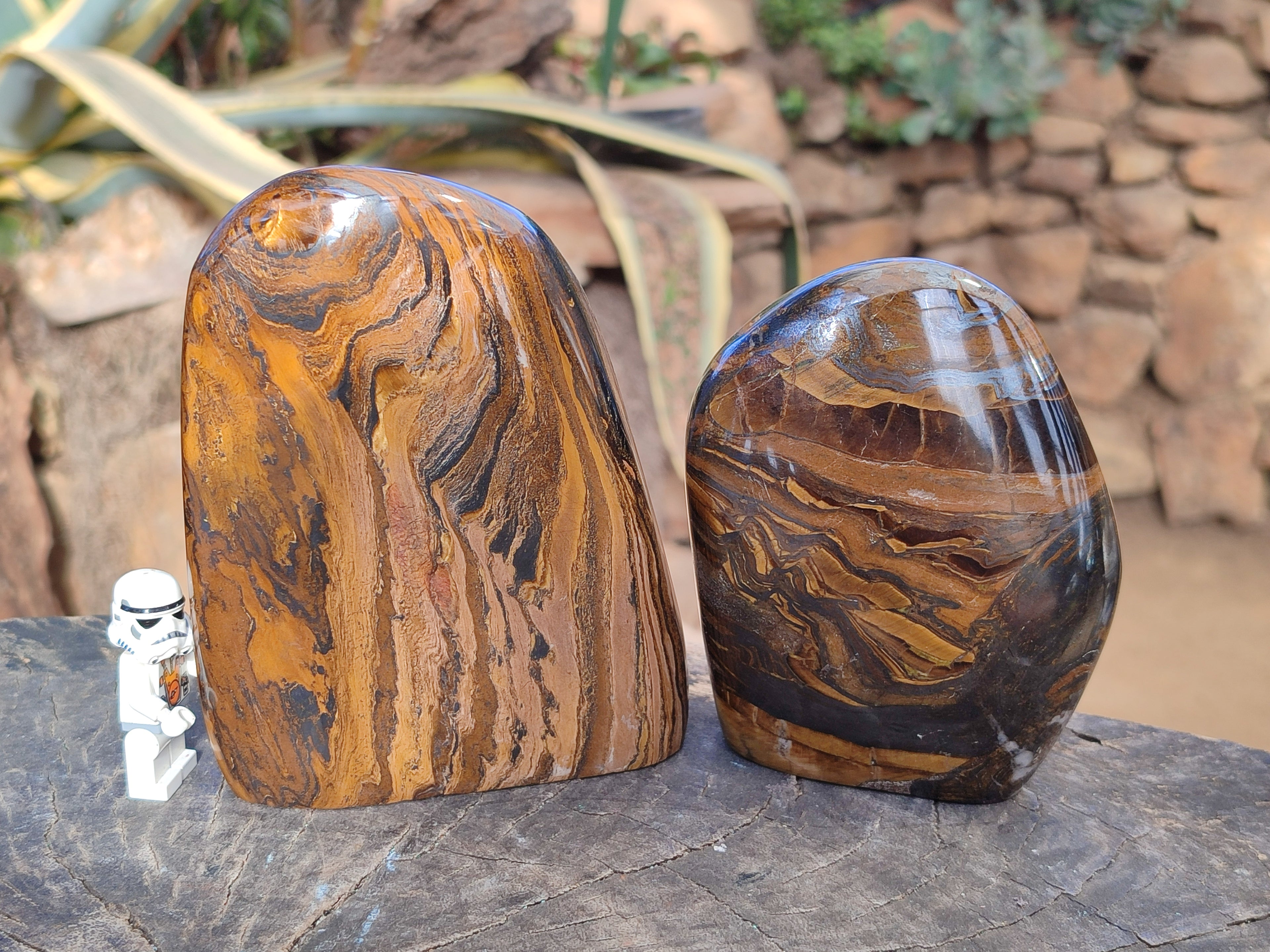 Polished Golden River Tigers Eye Standing Free Forms x 2 From Prieska, South Africa - Toprock Gemstones and Minerals 