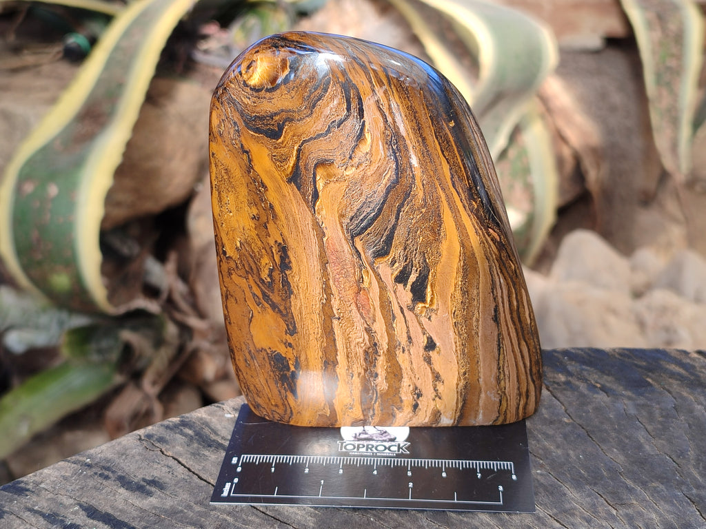 Polished Golden River Tigers Eye Standing Free Forms x 2 From Prieska, South Africa - Toprock Gemstones and Minerals 