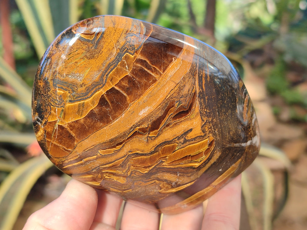 Polished Golden River Tigers Eye Standing Free Forms x 2 From Prieska, South Africa - Toprock Gemstones and Minerals 