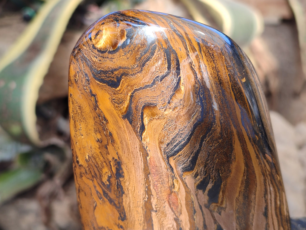 Polished Golden River Tigers Eye Standing Free Forms x 2 From Prieska, South Africa - Toprock Gemstones and Minerals 