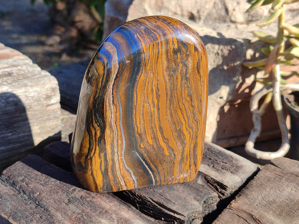 Polished Golden River Tigers Eye Standing Free Forms x 2 From Prieska, South Africa - Toprock Gemstones and Minerals 