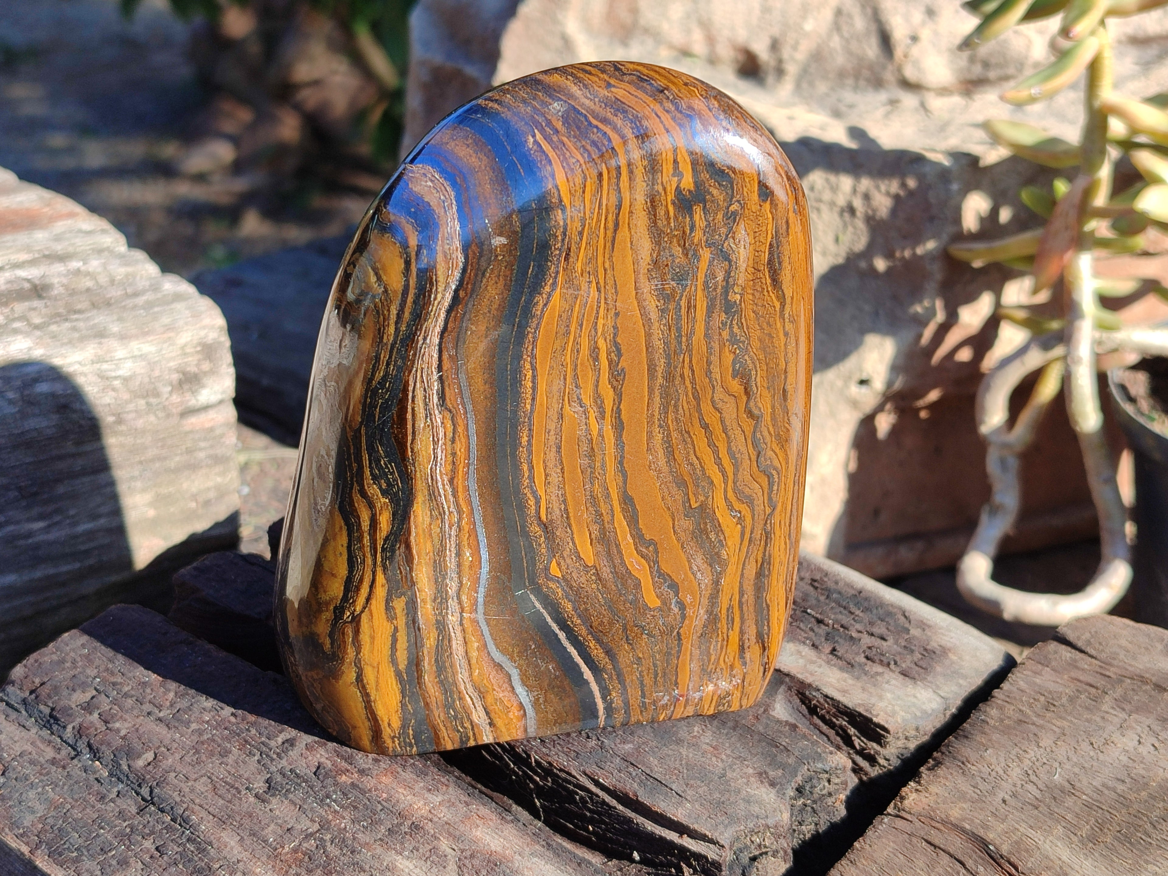 Polished Golden River Tigers Eye Standing Free Forms x 2 From Prieska, South Africa - Toprock Gemstones and Minerals 