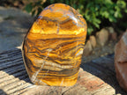 Polished Golden River Tigers Eye Standing Free Forms x 2 From Prieska, South Africa - Toprock Gemstones and Minerals 