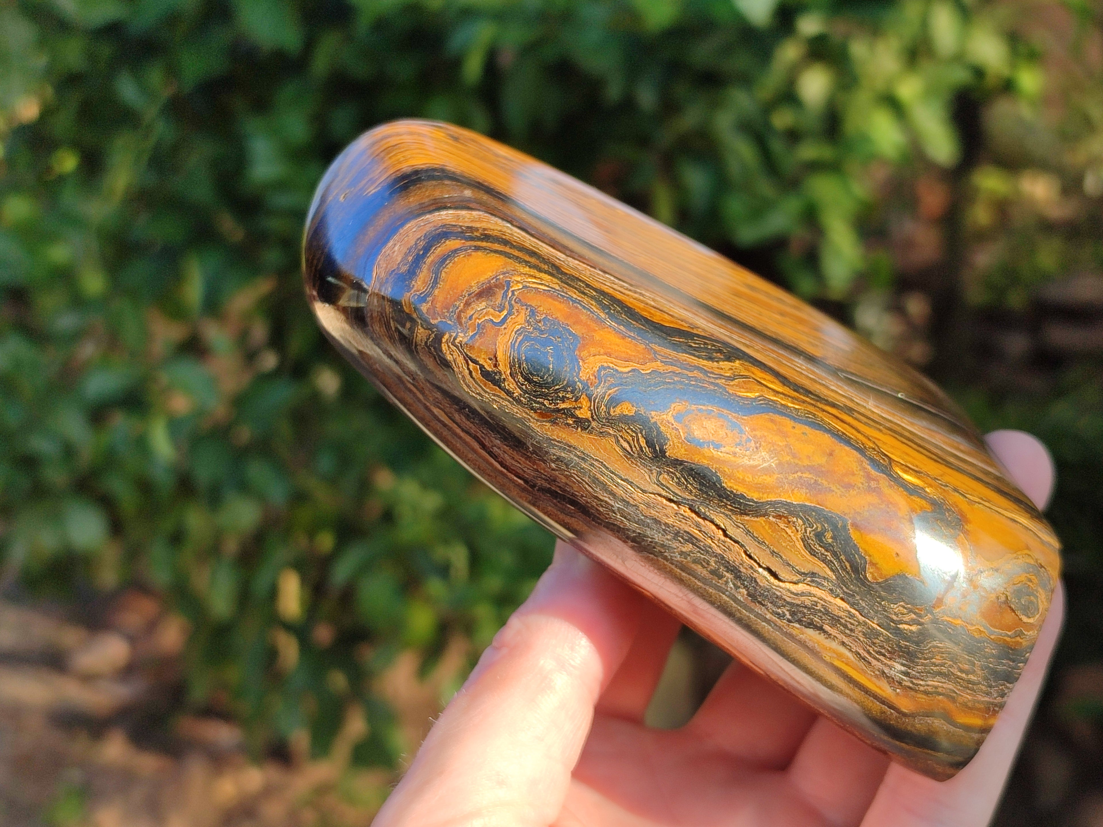 Polished Golden River Tigers Eye Standing Free Forms x 2 From Prieska, South Africa - Toprock Gemstones and Minerals 