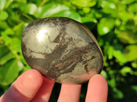 Polished Rare Pharaoh Stone Pyrite in Basalt Palm Stones x 6 Iron Duke Mine, Zimbabwe - Toprock Gemstones and Minerals 