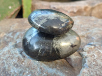 Polished Rare Pharaoh Stone Pyrite in Basalt Palm Stones x 6 Iron Duke Mine, Zimbabwe - Toprock Gemstones and Minerals 