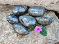 Polished Rare Pharaoh Stone Pyrite in Basalt Palm Stones x 6 Iron Duke Mine, Zimbabwe - Toprock Gemstones and Minerals 