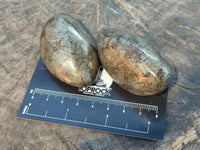 Polished Rare Pharaoh Stone Pyrite in Basalt Palm Stones x 6 Iron Duke Mine, Zimbabwe - Toprock Gemstones and Minerals 