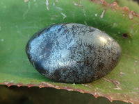 Polished Rare Pharaoh Stone Pyrite in Basalt Palm Stones x 6 Iron Duke Mine, Zimbabwe - Toprock Gemstones and Minerals 