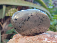 Polished Rare Pharaoh Stone Pyrite in Basalt Palm Stones x 6 Iron Duke Mine, Zimbabwe - Toprock Gemstones and Minerals 