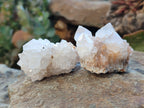 Natural Cactus Flower Amethyst Spirit Quartz Clusters x 24 From South Africa - Toprock Gemstones and Minerals 