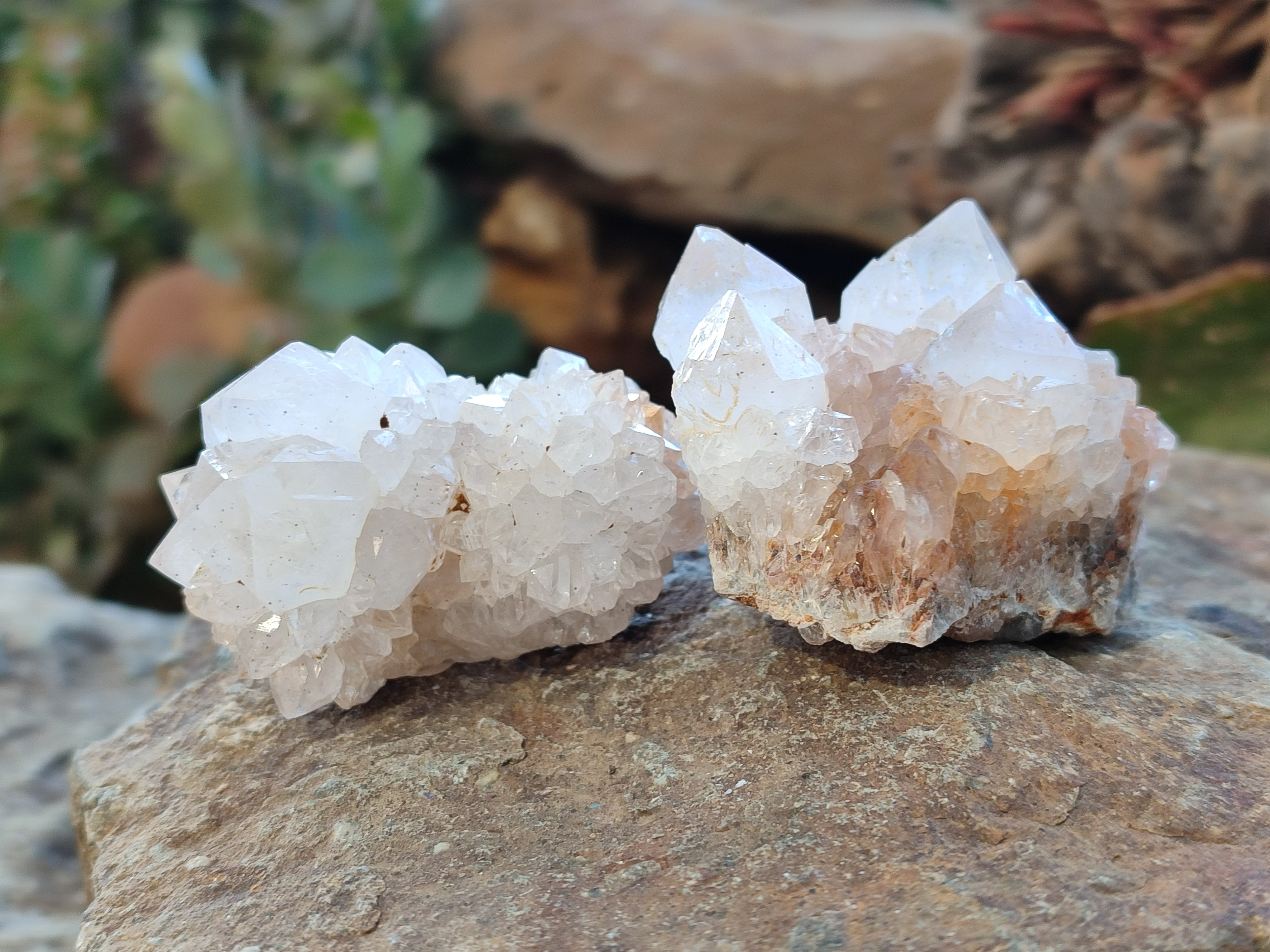 Natural Cactus Flower Amethyst Spirit Quartz Clusters x 24 From South Africa - Toprock Gemstones and Minerals 