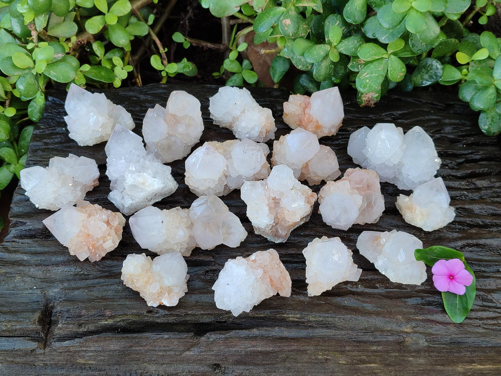 Natural Cactus Flower Amethyst Spirit Quartz Clusters x 24 From South Africa - Toprock Gemstones and Minerals 