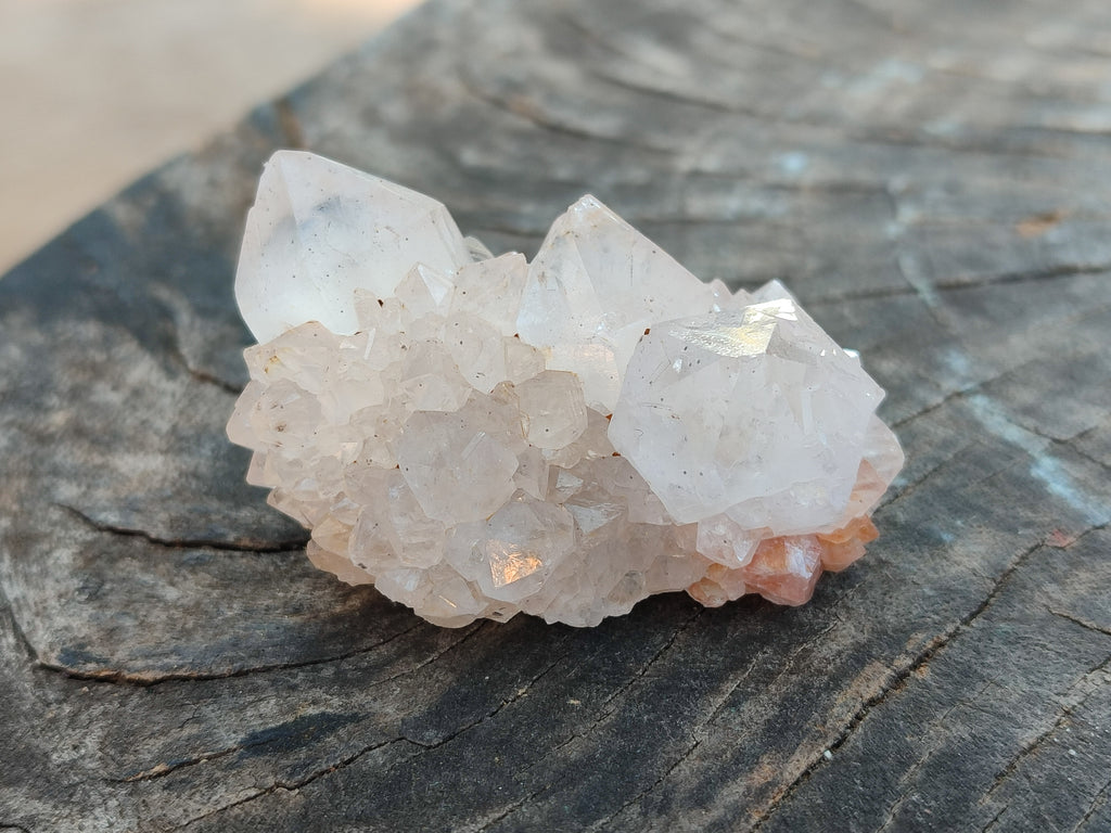 Natural Cactus Flower Amethyst Spirit Quartz Clusters x 24 From South Africa - Toprock Gemstones and Minerals 