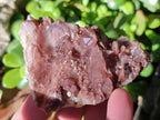 Natural Red Hematoid Quartz Clusters x 12 From Karoi, Zimbabwe - Toprock Gemstones and Minerals 