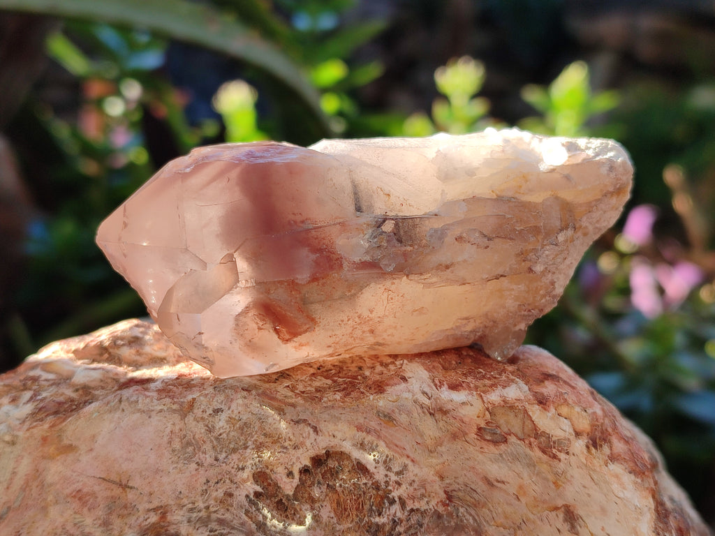 Natural Red Hematoid Quartz Clusters x 12 From Karoi, Zimbabwe - Toprock Gemstones and Minerals 