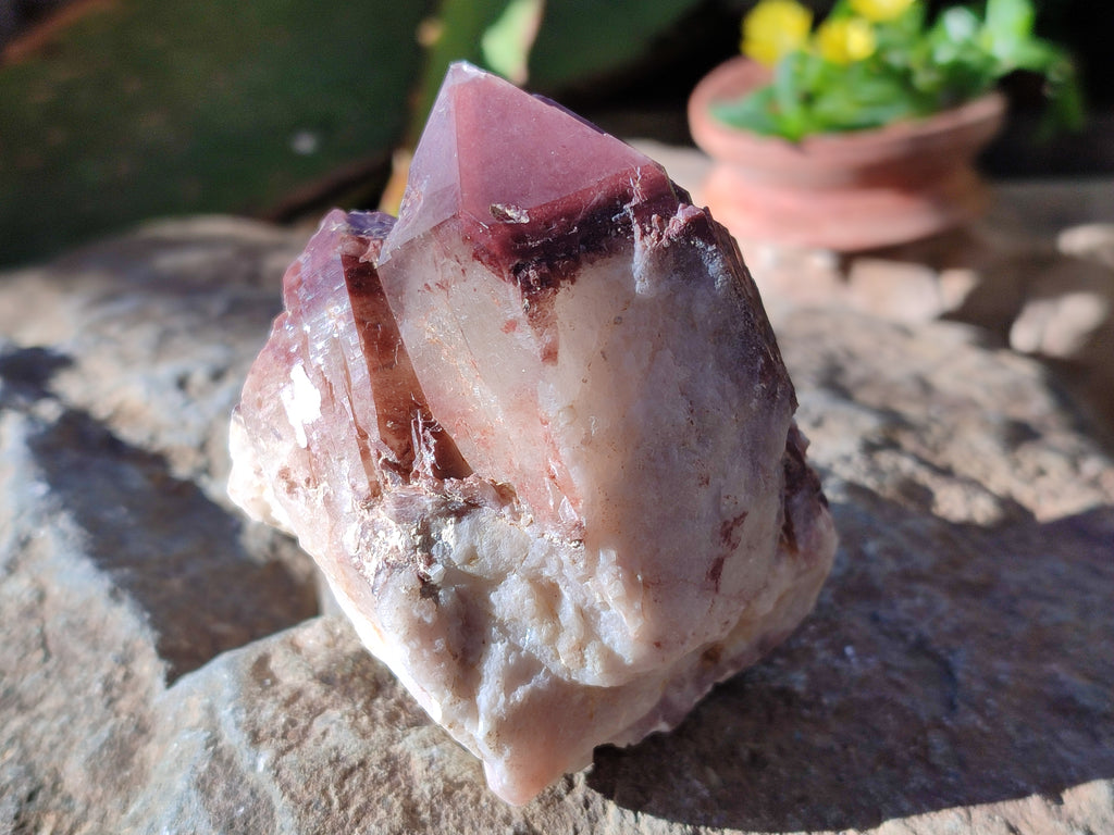 Natural Red Hematoid Quartz Clusters x 12 From Karoi, Zimbabwe - Toprock Gemstones and Minerals 