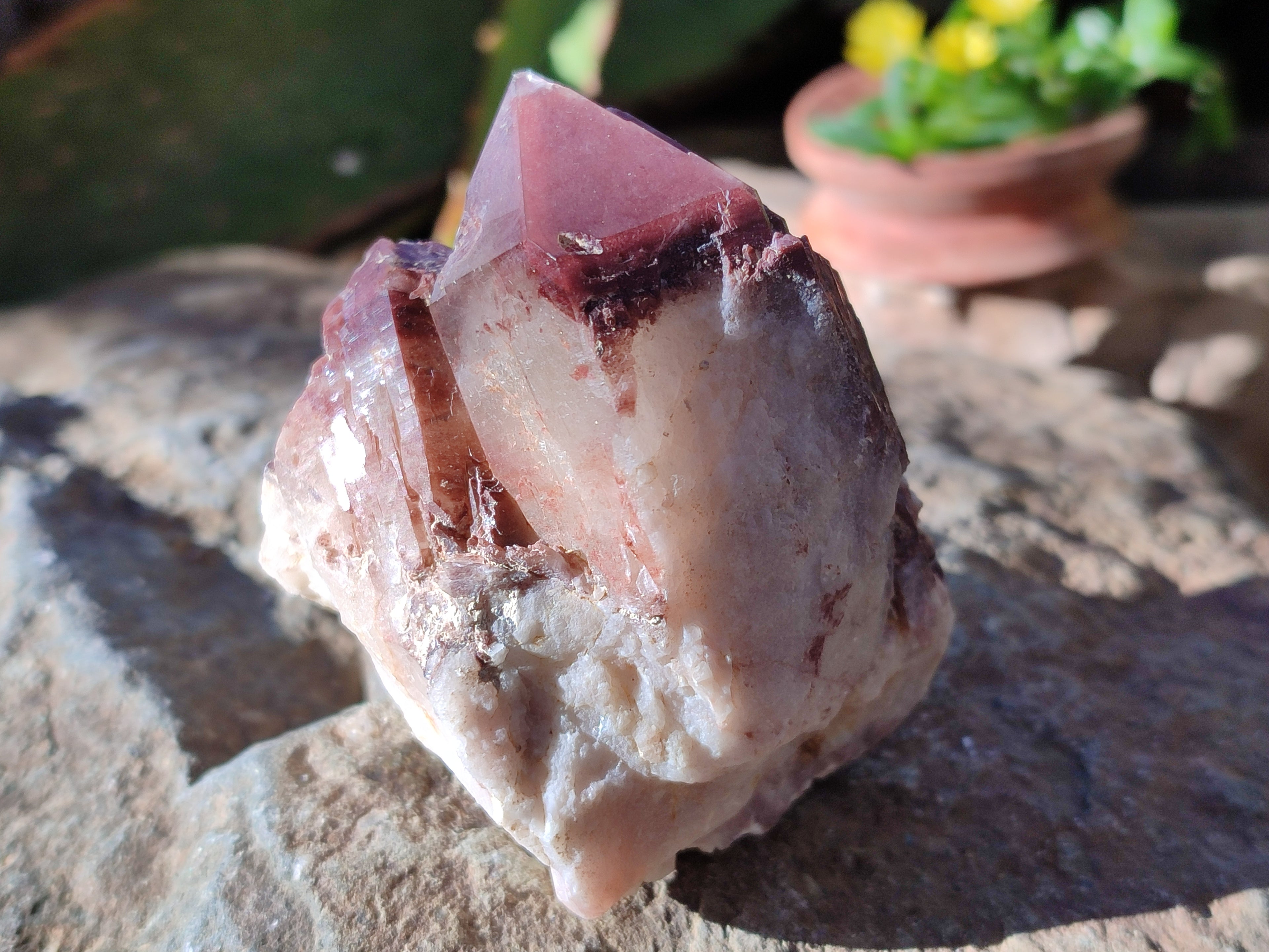 Natural Red Hematoid Quartz Clusters x 12 From Karoi, Zimbabwe - Toprock Gemstones and Minerals 
