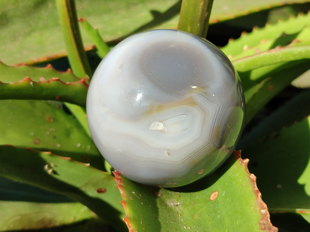 Polished Banded Agate Spheres x 4 From Madagascar - Toprock Gemstones and Minerals 