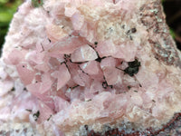 Natural Extremely Rare Collectable Rhodocalcite Specimen with Chrysocolla, Plancheite and Kolwezite x 1 From Congo