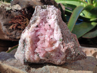 Natural Extremely Rare Collectable Rhodocalcite Specimen with Chrysocolla, Plancheite and Kolwezite x 1 From Congo