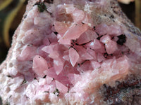 Natural Extremely Rare Collectable Rhodocalcite Specimen with Chrysocolla, Plancheite and Kolwezite x 1 From Congo