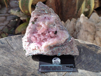 Natural Extremely Rare Collectable Rhodocalcite Specimen with Chrysocolla, Plancheite and Kolwezite x 1 From Congo