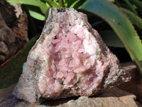 Natural Extremely Rare Collectable Rhodocalcite Specimen with Chrysocolla, Plancheite and Kolwezite x 1 From Congo