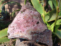Natural Extremely Rare Collectable Rhodocalcite Specimen with Chrysocolla, Plancheite and Kolwezite x 1 From Congo