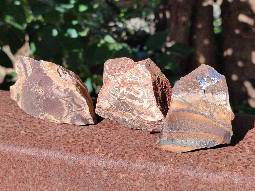 Natural Nguni Jasper Cobbed Specimens x 23 From Prieska, South Africa - Toprock Gemstones and Minerals 