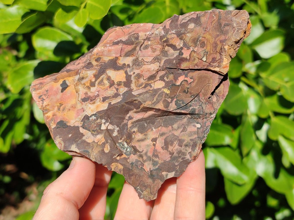 Natural Nguni Jasper Cobbed Specimens x 23 From Prieska, South Africa - Toprock Gemstones and Minerals 