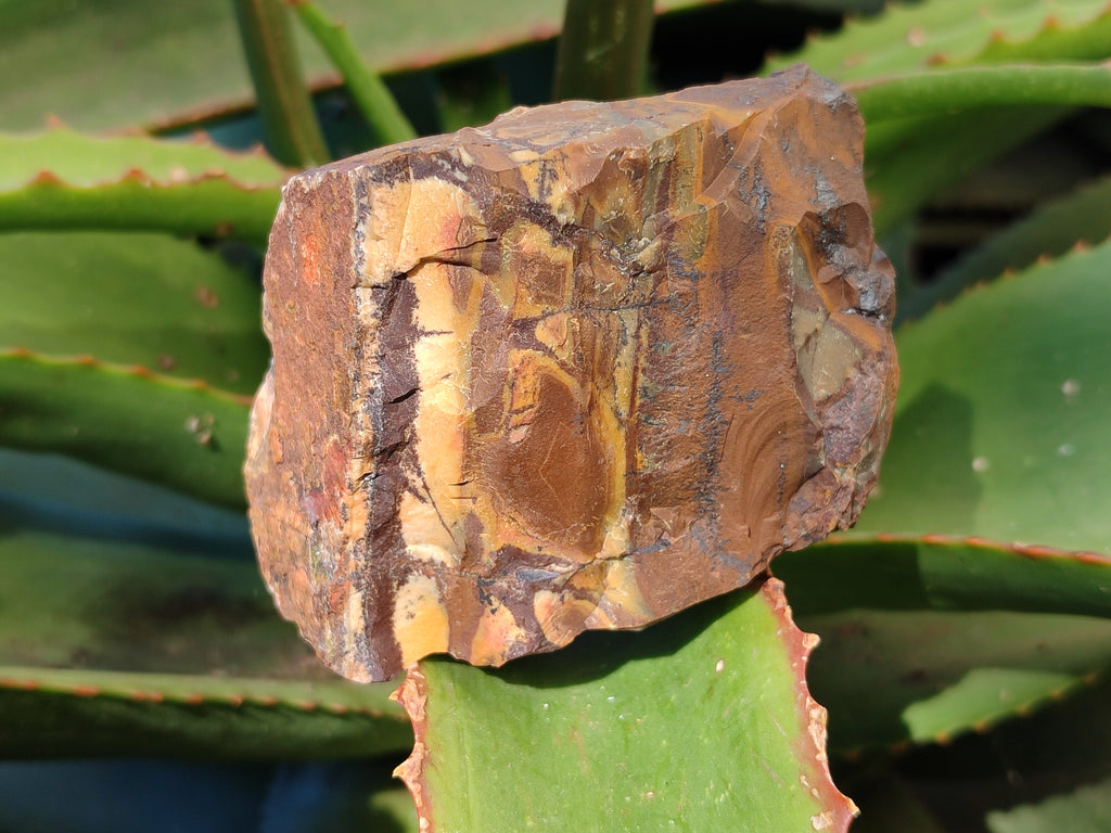Natural Nguni Jasper Cobbed Specimens x 23 From Prieska, South Africa - Toprock Gemstones and Minerals 