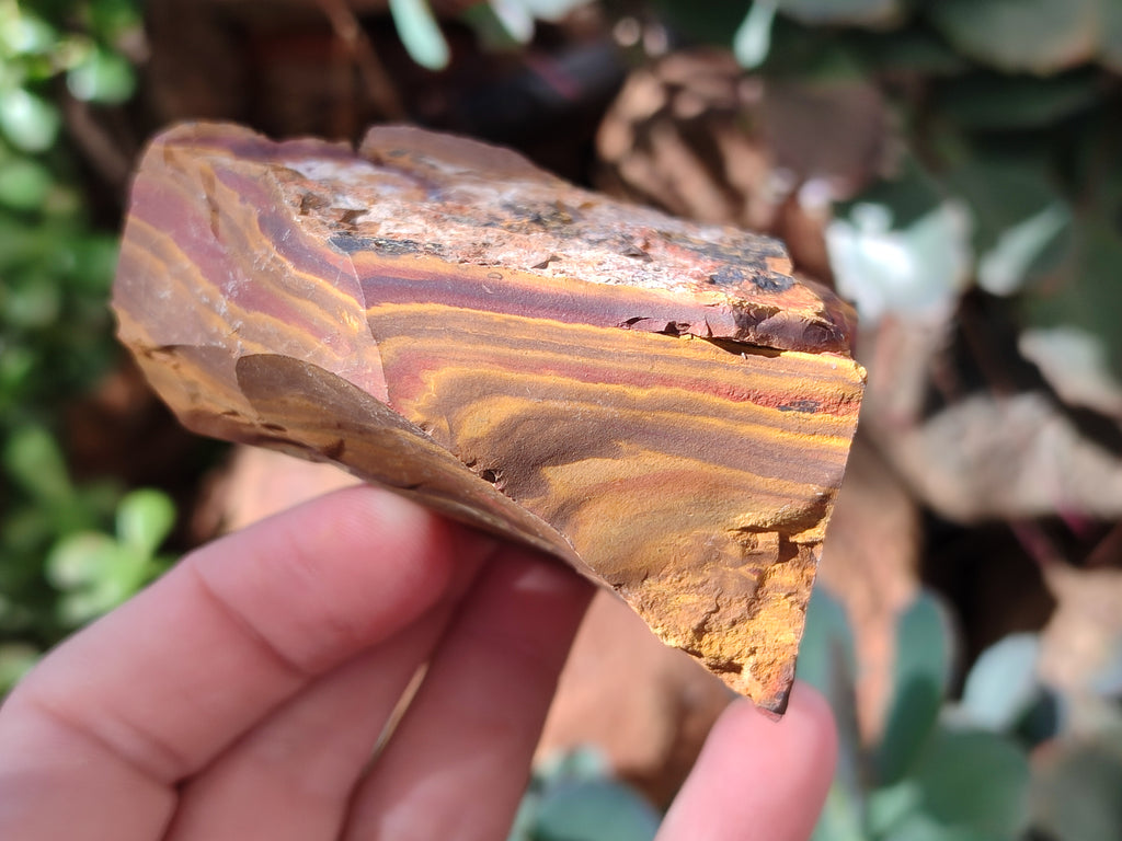 Natural Nguni Jasper Cobbed Specimens x 23 From Prieska, South Africa - Toprock Gemstones and Minerals 