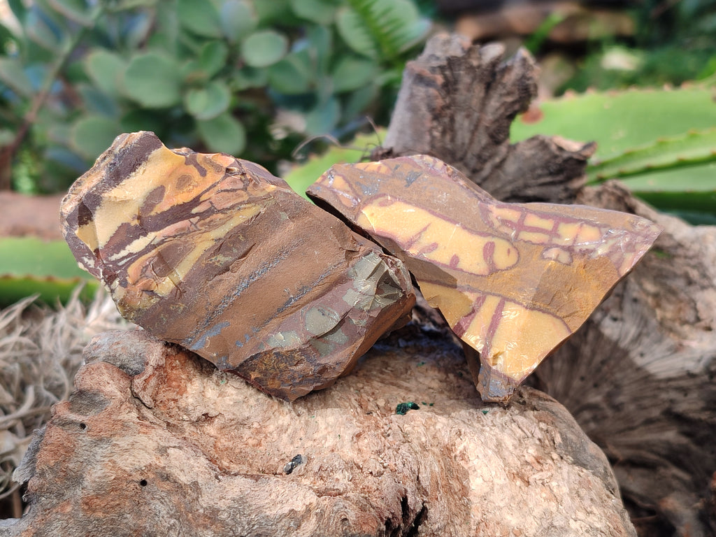 Natural Nguni Jasper Cobbed Specimens x 23 From Prieska, South Africa - Toprock Gemstones and Minerals 