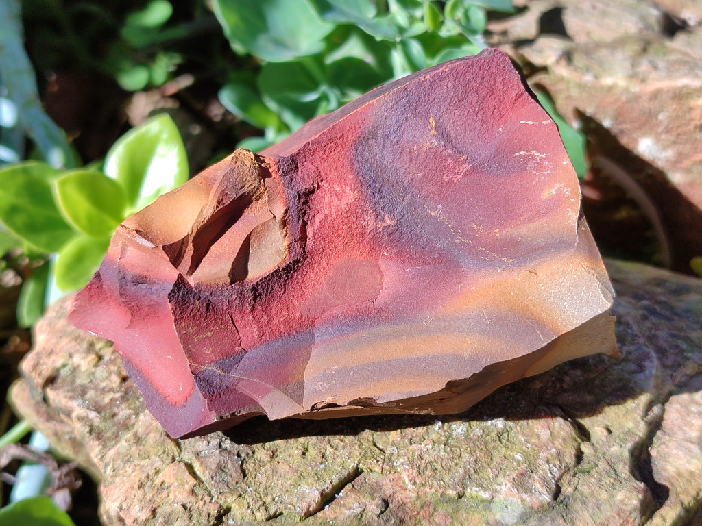 Natural Nguni Jasper Cobbed Specimens x 23 From Prieska, South Africa - Toprock Gemstones and Minerals 