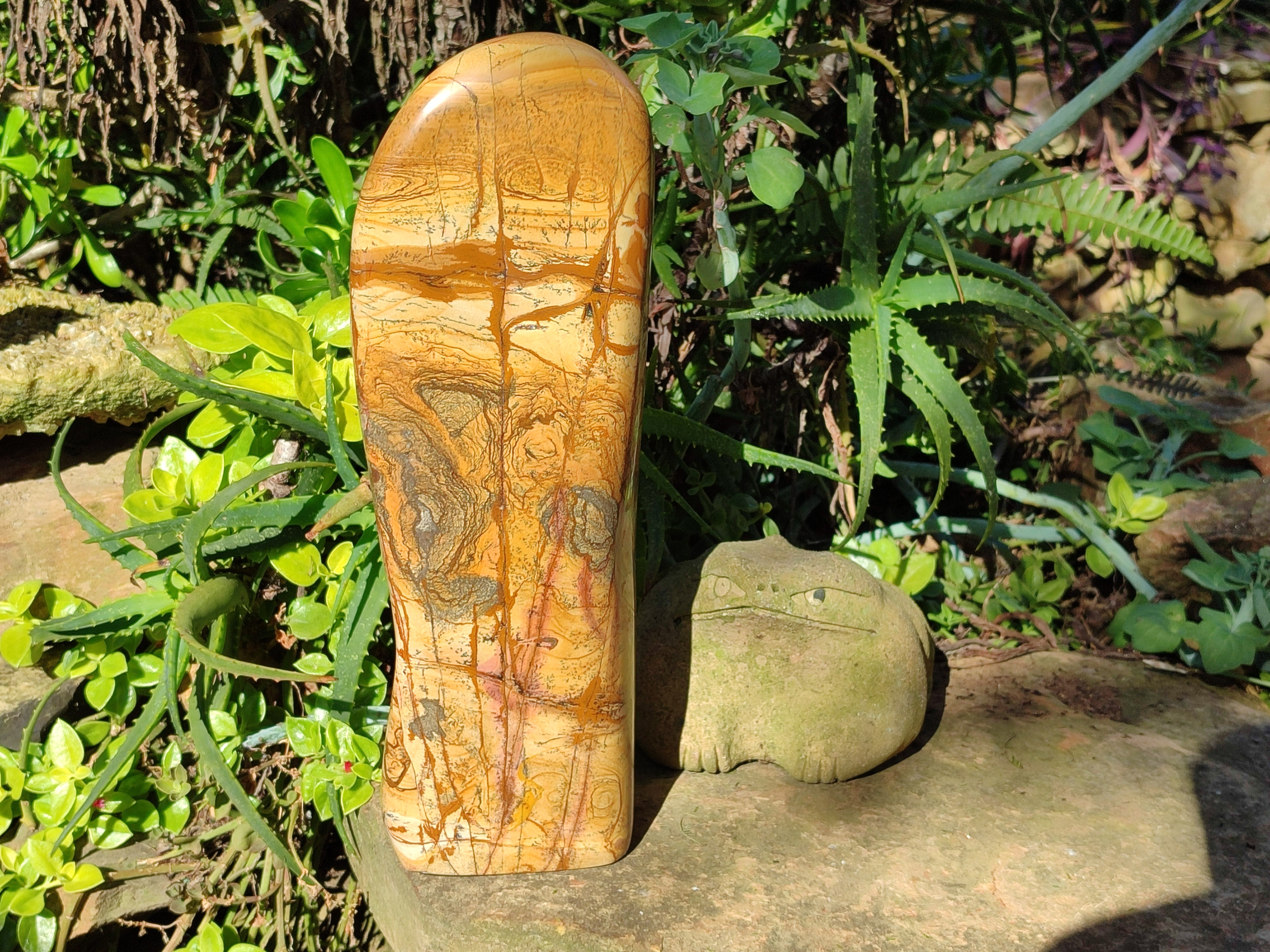 Polished Picture Stone Jasper Standing Free Form x 1 From Ais-Ais, Namibia - Toprock Gemstones and Minerals 