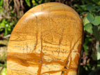 Polished Picture Stone Jasper Standing Free Form x 1 From Ais-Ais, Namibia - Toprock Gemstones and Minerals 