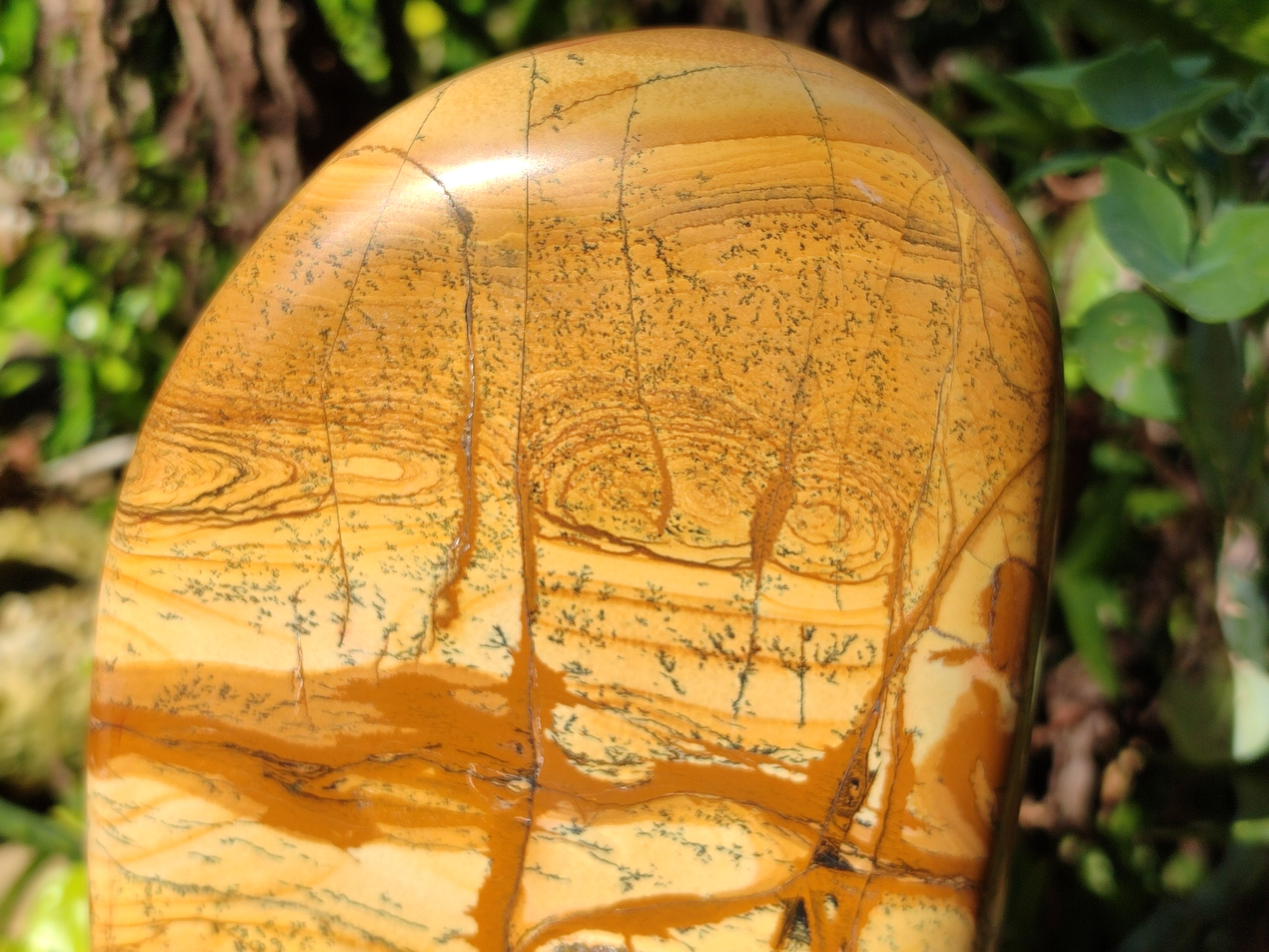 Polished Picture Stone Jasper Standing Free Form x 1 From Ais-Ais, Namibia - Toprock Gemstones and Minerals 