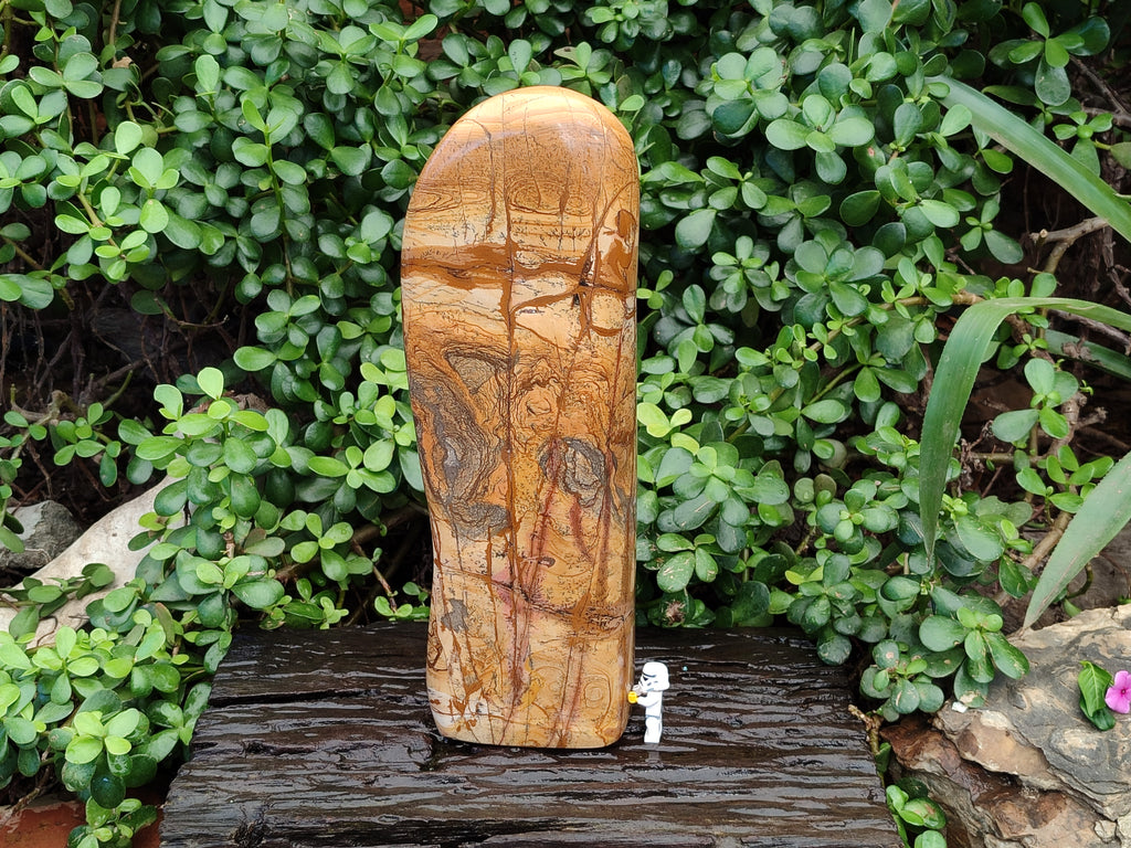 Polished Picture Stone Jasper Standing Free Form x 1 From Ais-Ais, Namibia - Toprock Gemstones and Minerals 